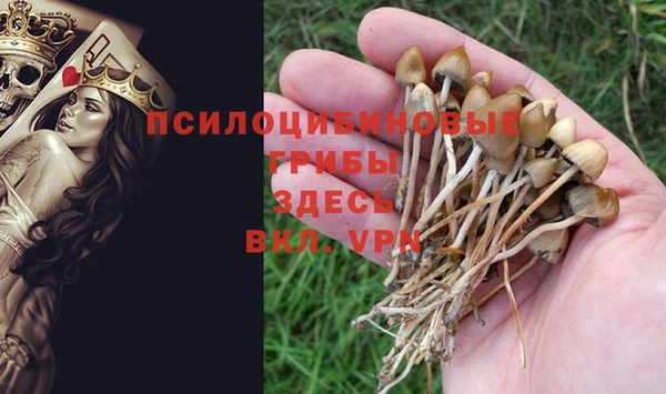 MDMA Лагань