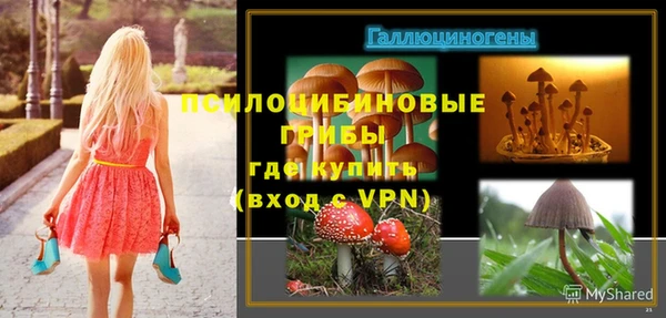 молекула духа Лабытнанги