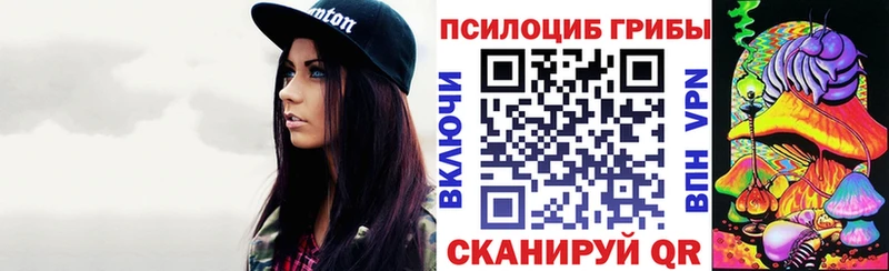 Псилоцибиновые грибы ЛСД дарк нет какой сайт Юрьевец